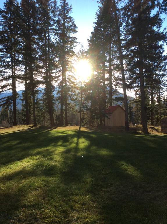 Tete Jaune Lodge Kültér fotó